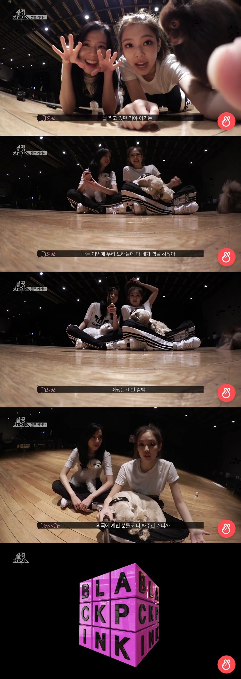 (Naver's V Live)
