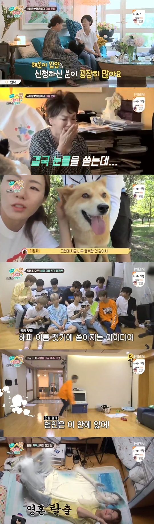 MBN 우리 집에 해피가 왔다 캡처