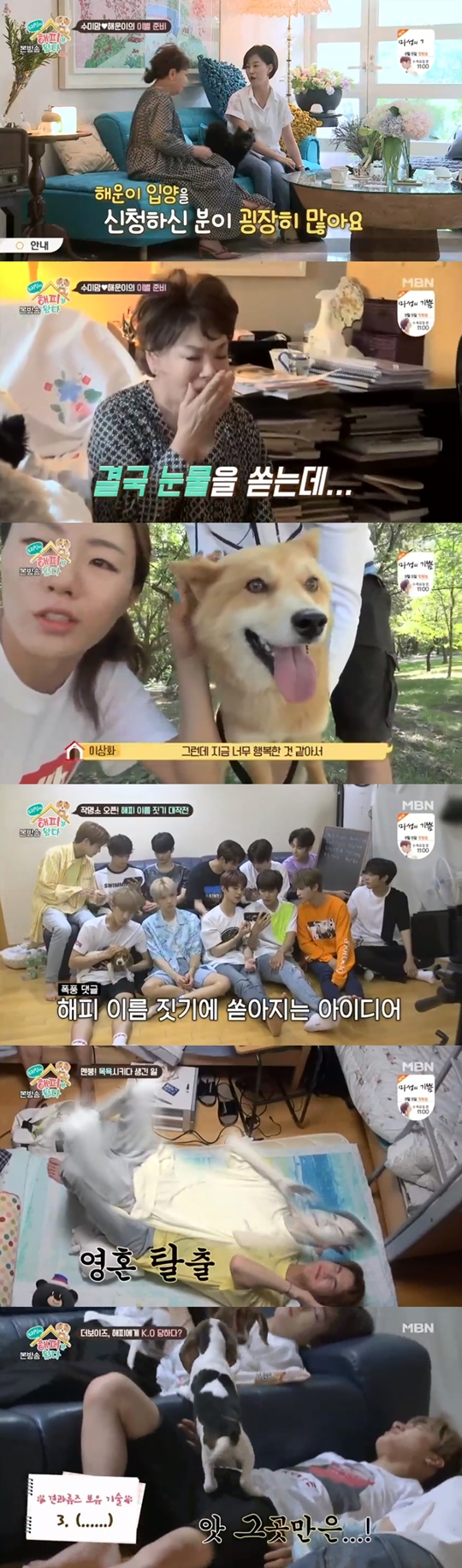 MBN 우리 집에 해피가 왔다 캡처