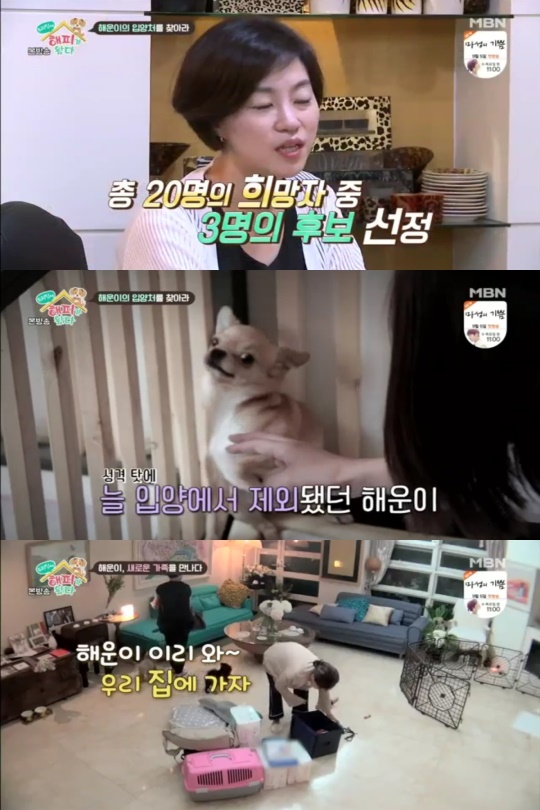'우리집에 해피가 왔다' 방송 캡쳐