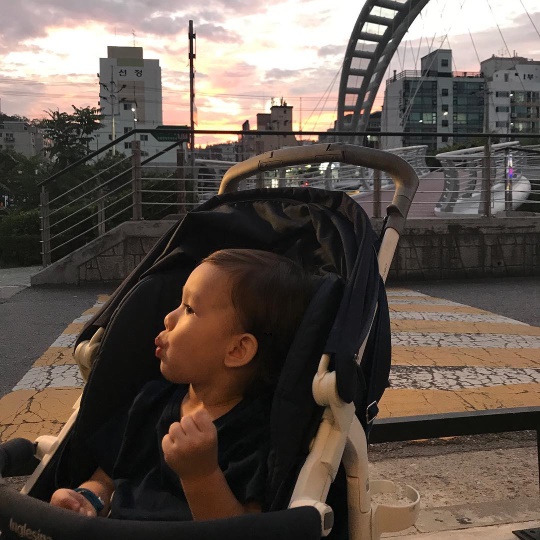 샘 해밍턴 인스타