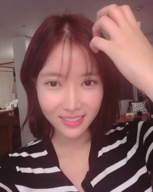 임수향 인스타