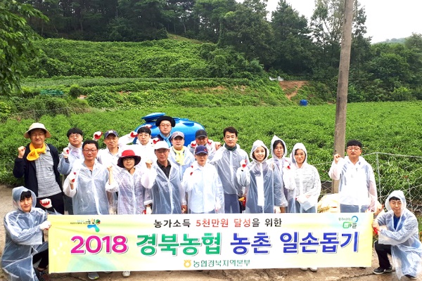 경북농협 임직원 20여명이 14일 비가오는 궂은 날씨에도 고추재배농가를 찾아나서 일손돕기에 구슬땀을 흘렸다.(경북농협 제공)