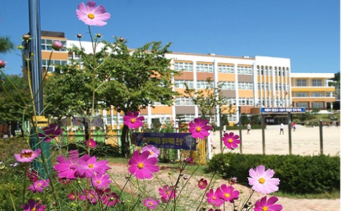 영주시의 한 중학교에서 교사가 학생을 폭행해 물의를 빚고 있다. 사진은 해당 중학교(헤럴드 자료사진)