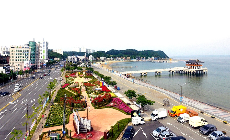 포항시는 오는 내달 3일 영일대 장미원에서 ‘어린왕자가 사랑했던 장미꽃을 품다’라는 부제 를 내걸고  제1회 바다장미축제를 개최한다.사진은 영일대 장미원 전경(포항시 제공)