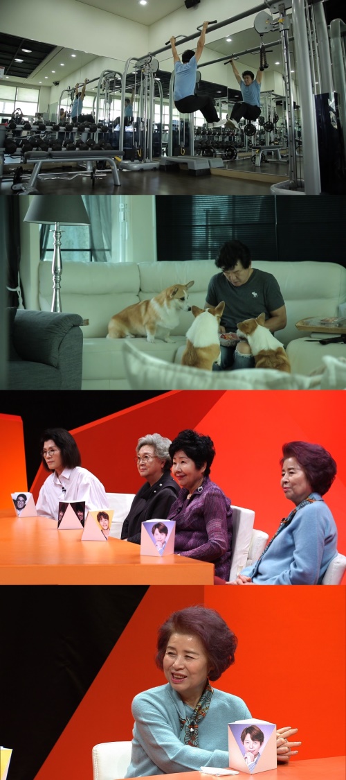 사진=SBS