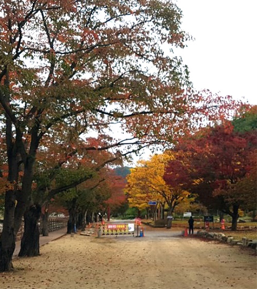 안동시의 대표 관광지이인  월영교에서 가을 여행주간을 맞아 ‘월영장터’가 열린다.(안동시 제공)
