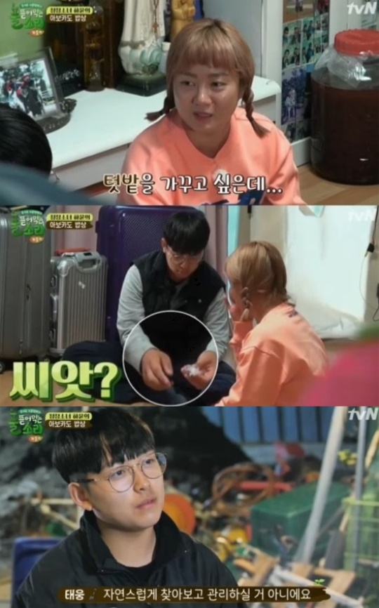 tvN '풀 뜯어먹는 소리-가을편' 캡처
