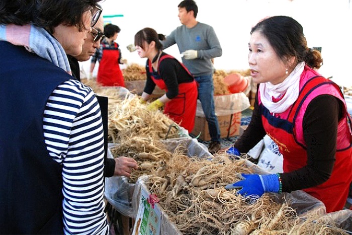 축제에 참여한 관광객들이 우수한 인삼을 구입하기 위해 인삼을 고르고 있다.사진은 지난해 축제 모습(김성권 기자)
