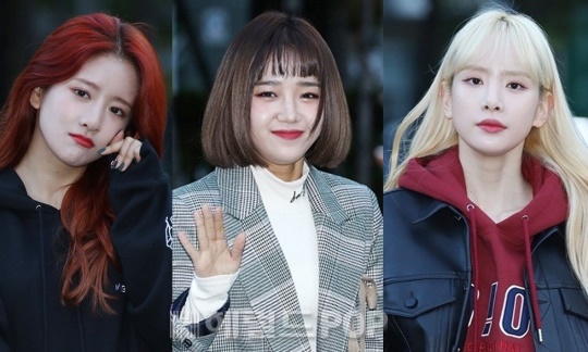 헤럴드POP DB