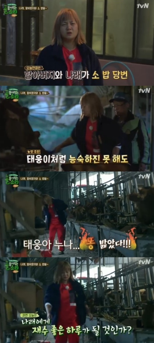 tvN '풀 뜯어먹는 소리-가을편' 캡처