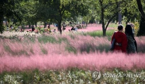 (사진=연합뉴스 제공)