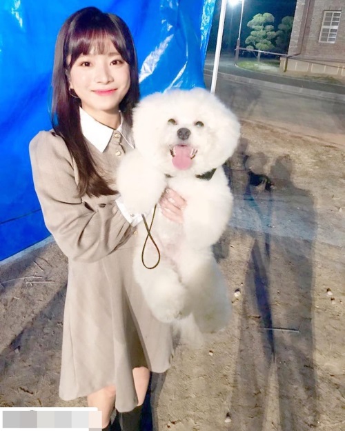 벤 인스타그램