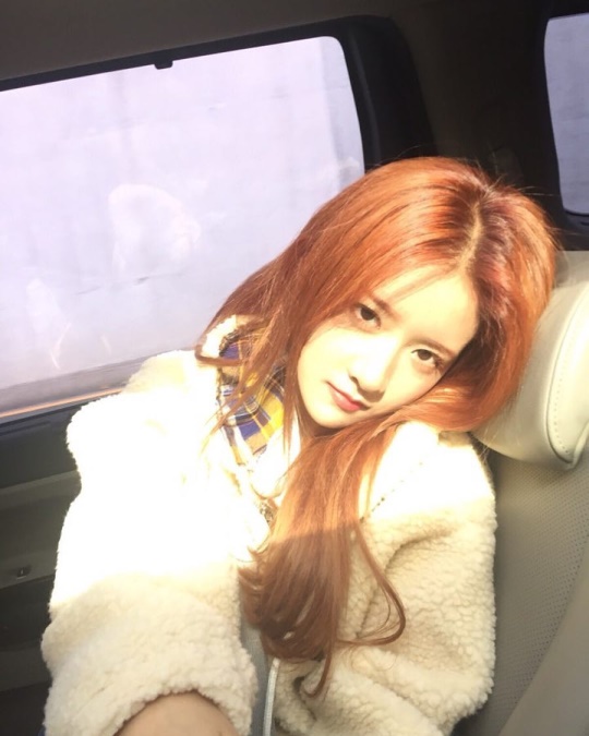 엑시 인스타그램