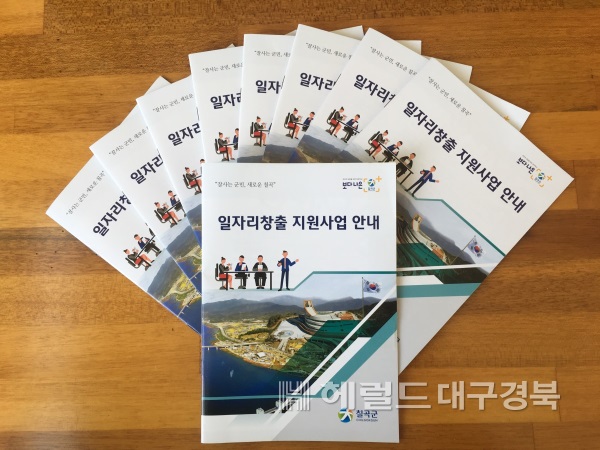 칠곡군은 '일자리창출 지원사업 안내' 책자를 발간했다. (칠곡군 제공)