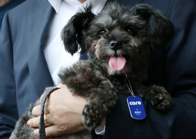 President Moon Jae-in holding his dog Tory, rescued from shelter (Cheong Wa Dae)