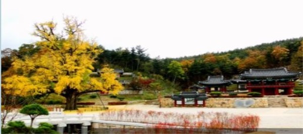 임고서원의 가을 풍경. (영천시 제공)