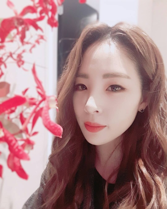 신수지 인스타