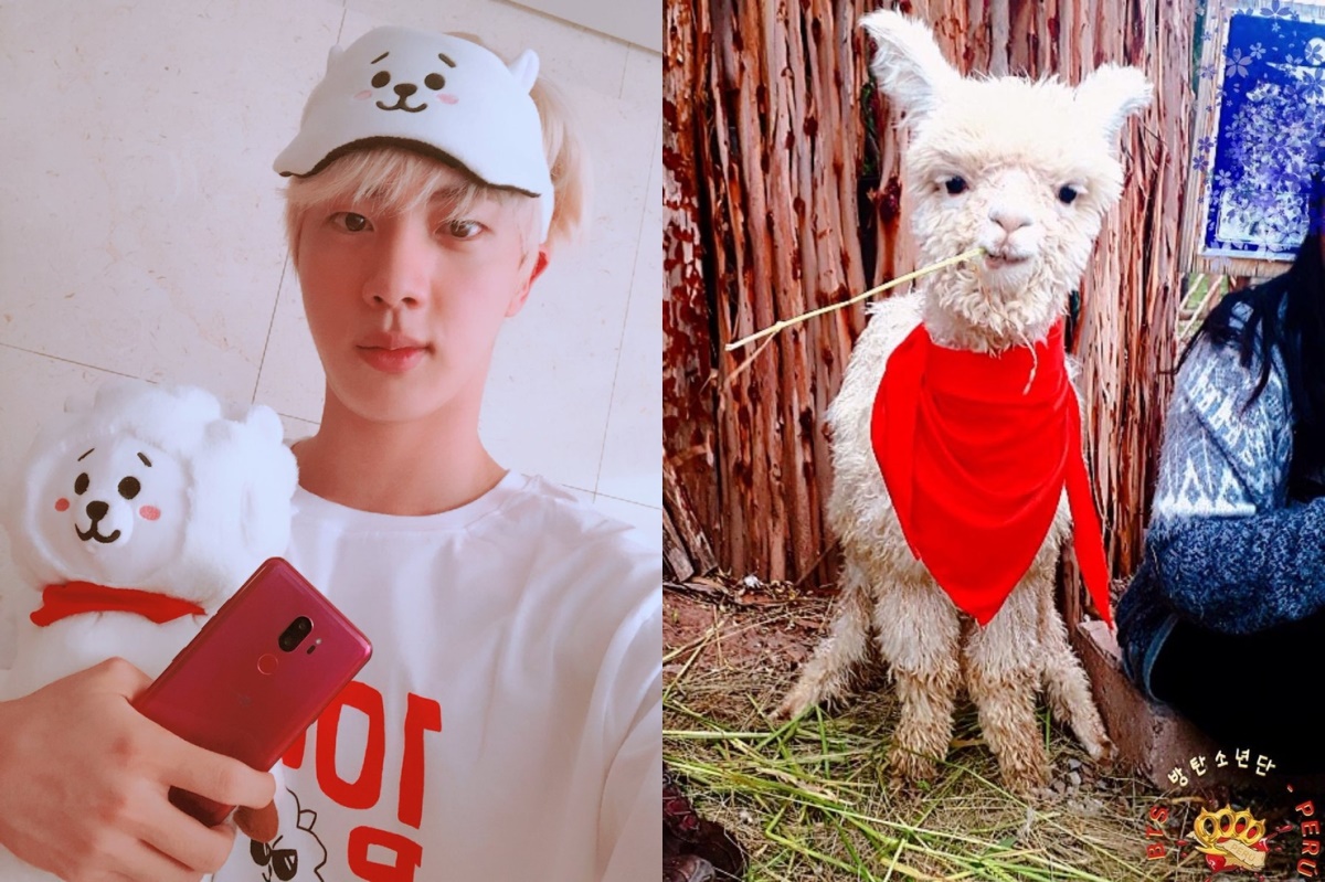Jin of BTS with RJ in his arm (left), the newly adopted baby alpaca RJ (Twitter @BTS_twt, @BTS_Peru)