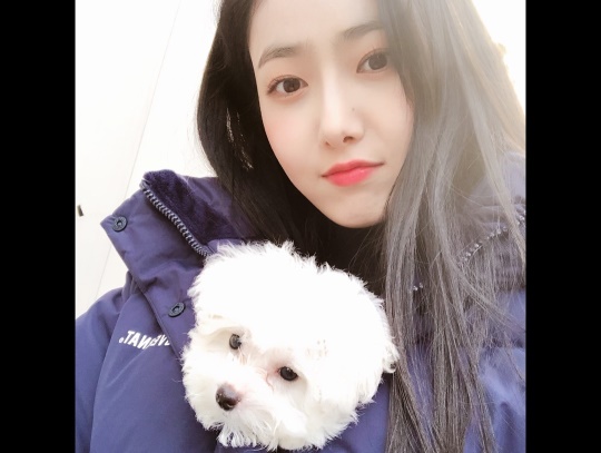 사진=여자친구 인스타