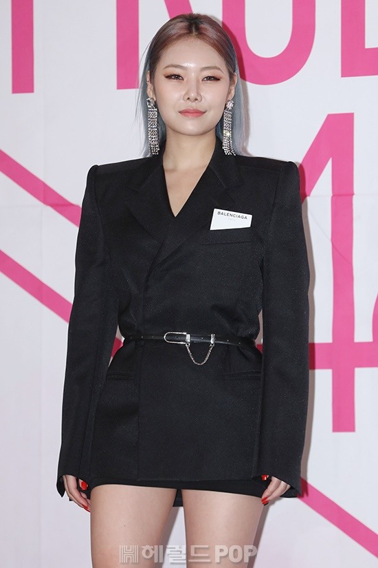 치타/사진=헤럴드POP DB
