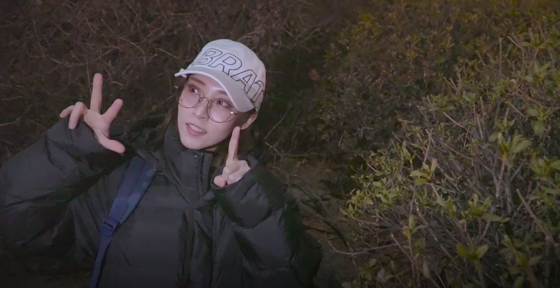 (Naver's V Live)