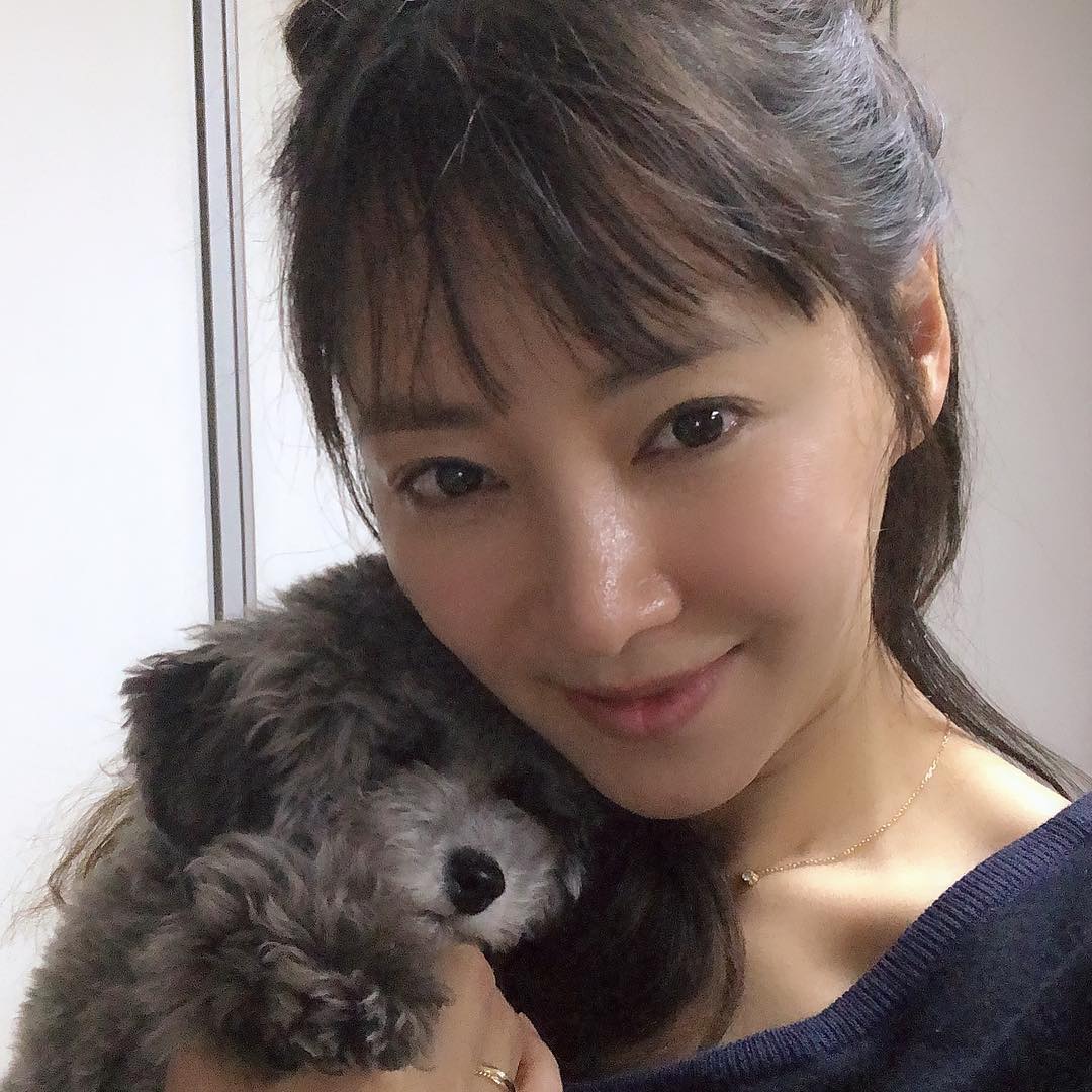 이본 인스타