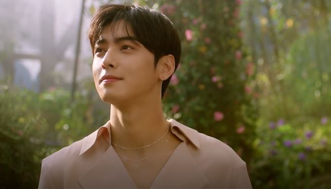 (Naver's V Live)