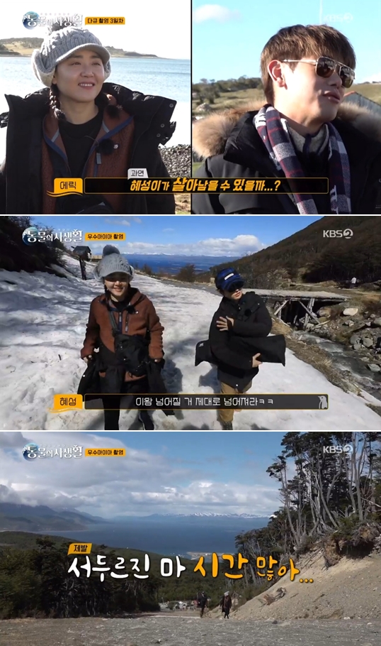 KBS2 '은밀하고 위대한 동물의 사생활'