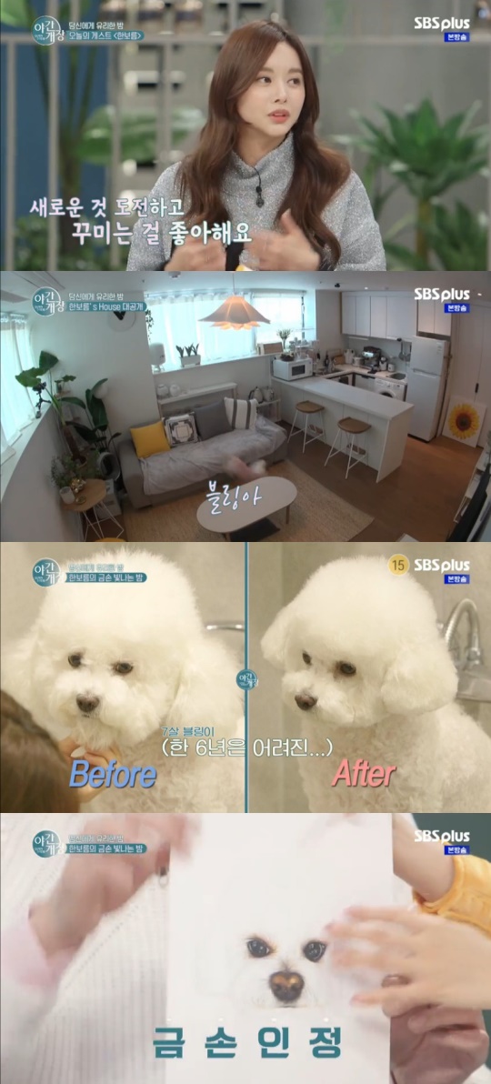 사진=SBS플러스 '야간개장' 캡처