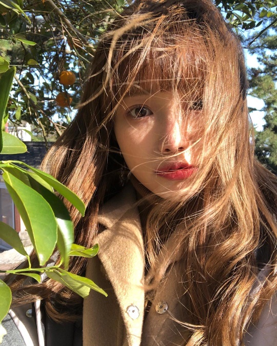 하연수 인스타