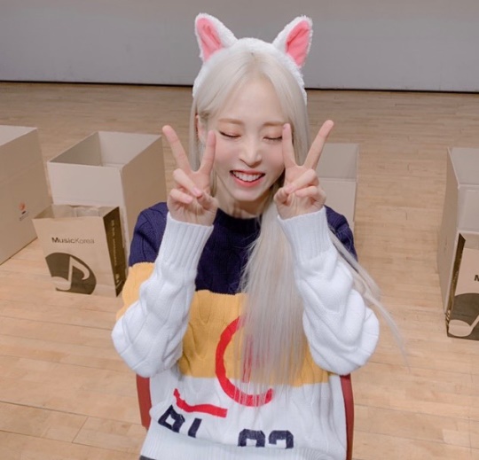 마마무 인스타그램