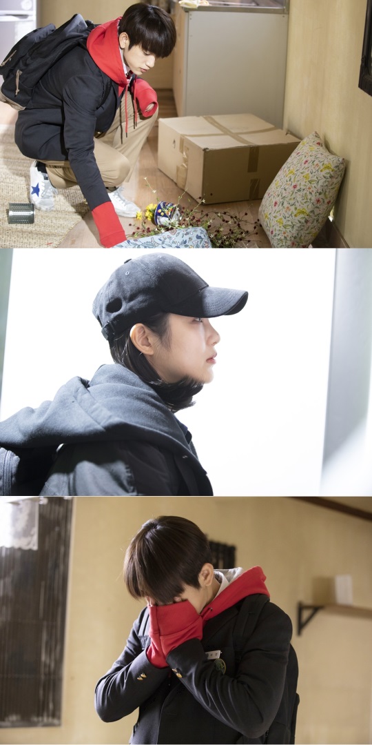 사진 제공: tvN