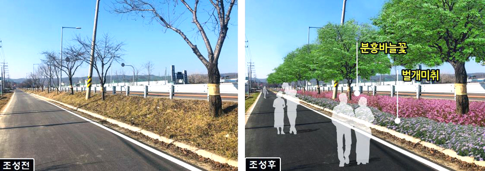 의성군이 미세먼지 저감감을 위해  도시숲을 조성한다.사진은 도시숲조정 전.후 비교 (의성군 제공)