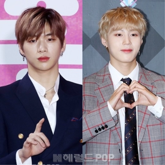 강다니엘 하성운/사진=헤럴드POP DB
