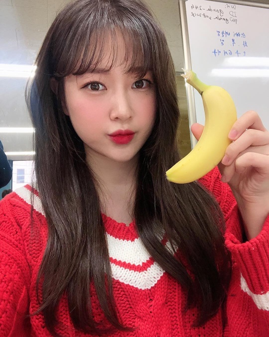 금조 인스타그램