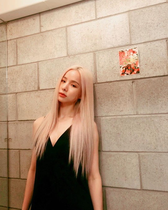 솔지 인스타