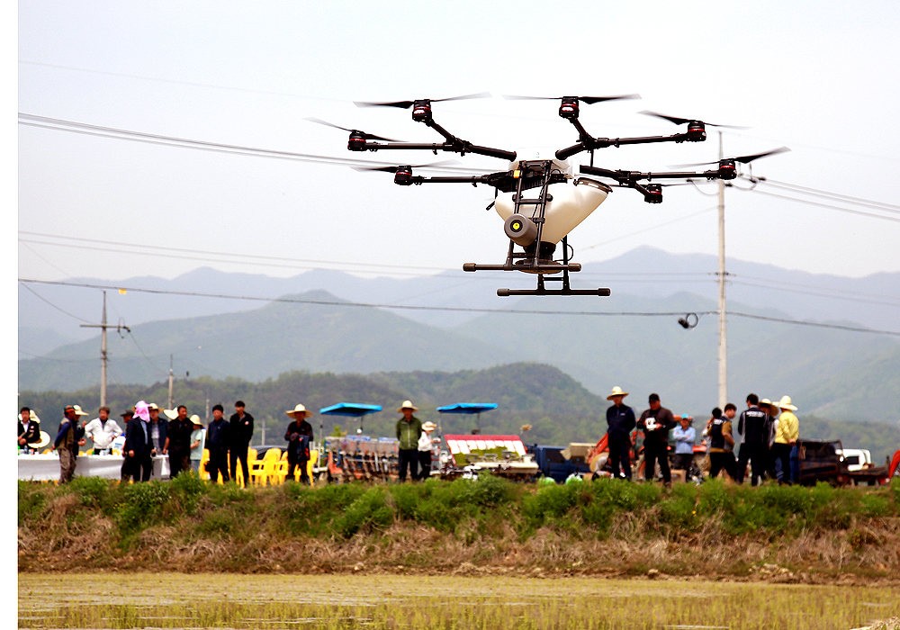 9일 영주시 순흥면에서 농업용 드론으로 논에 볍씨를 뿌리는 시연회를 열었다. (영주시 제공)