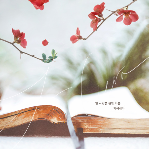 사진=더하기미디어 제공.