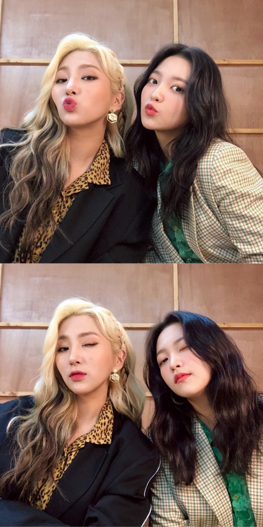 자이언트핑크 인스타그램
