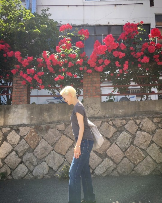 이엘 인스타