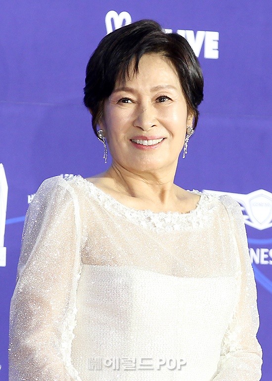 배우 김혜자/사진=헤럴드POP DB
