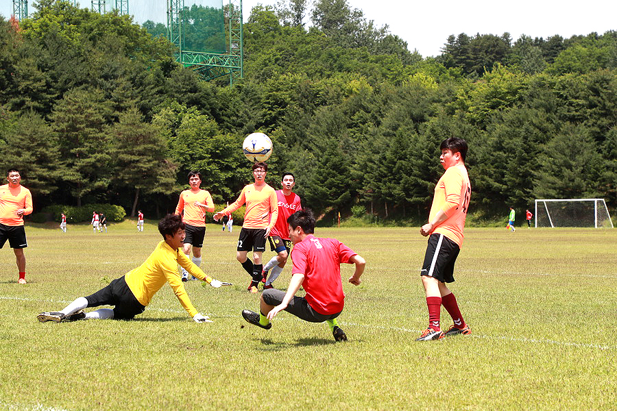8일 예천 진호국제양궁장에서 제7회 예천군수배 기수별 친선축구대회가 열렸다.(예천군 제공)
