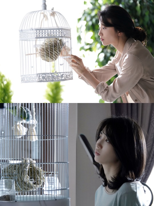 사진=채널A, 팬엔터테인먼트 제공
