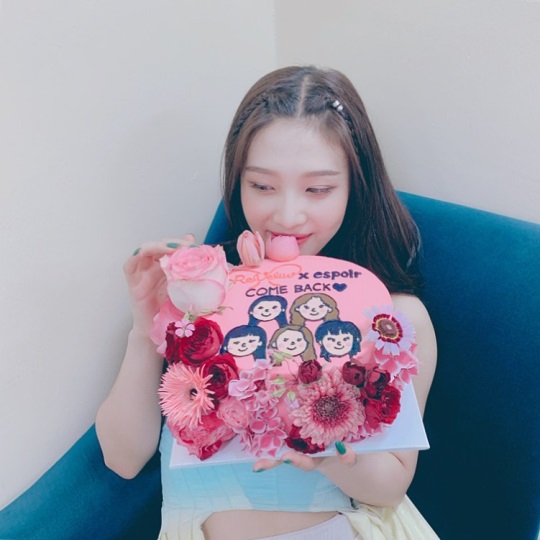 조이 인스타