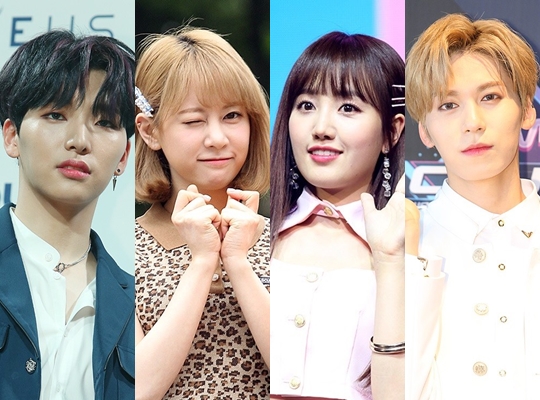 헤럴드POP DB
