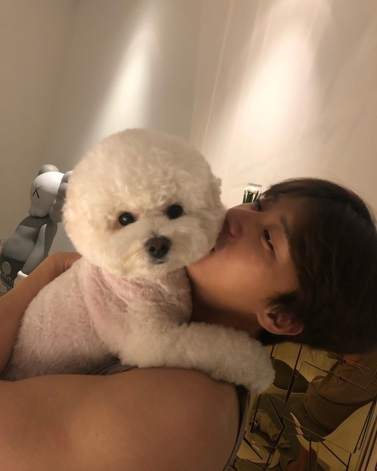박서준 인스타