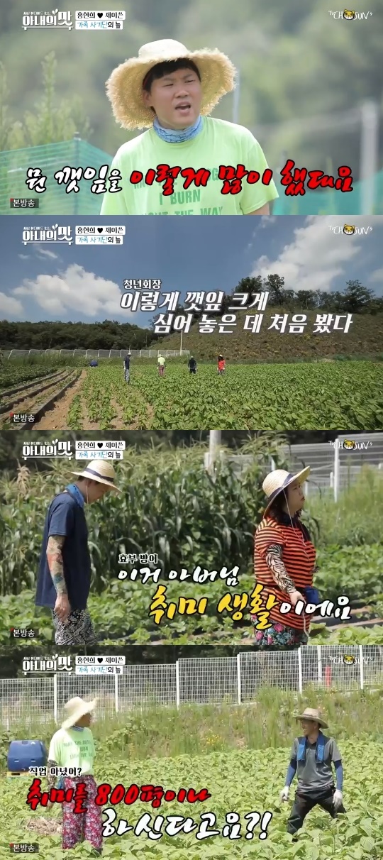 TV조선='아내의 맛' 캡쳐