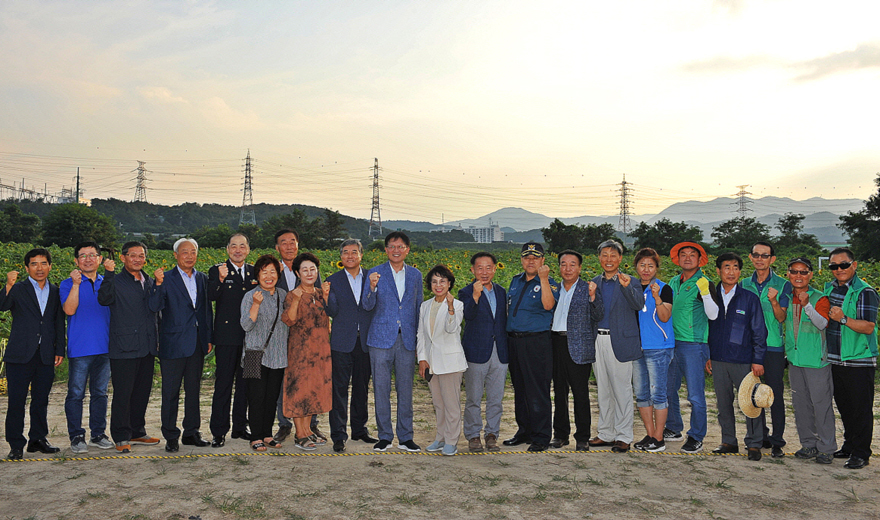 26일 포항시 오천읍 용산리 36번지 일원에 조성된 ‘오천읍 해바라기 정원' 개장식을 갖고 시민과 오어사를 찾는 관광객들에게 볼거리를 제공하고 있다(포항시 제공)