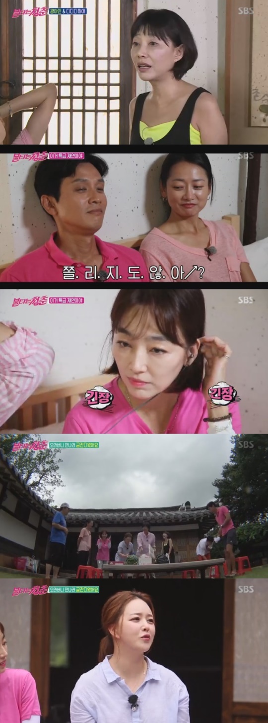 SBS '불타는 청춘'